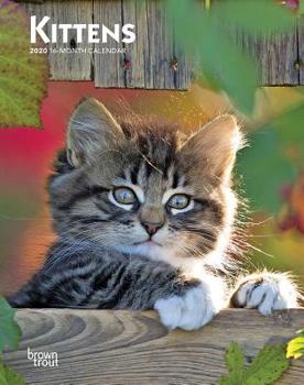 Calendar Kittens 2020 Engagement Book