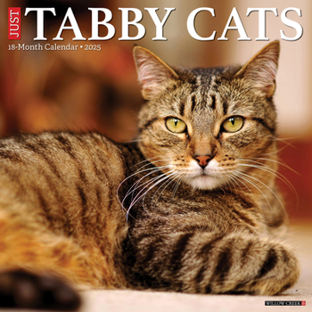 Calendar Just Tabby Cats 2025 12 X 12 Wall Calendar Book