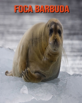 Foca barbuda: Im?genes asombrosas y datos curiosos