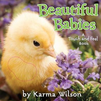 Board book Beautiful Babies Book