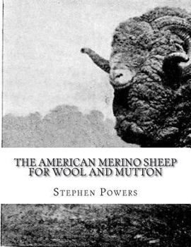 Paperback The American Merino Sheep For Wool and Mutton: The Selection, Care, Breeding and Diseases of the Merino Sheep Book