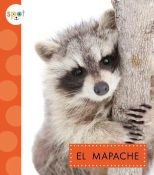 Library Binding El Mapache (Raccoons) [Spanish] Book