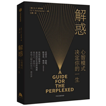 Paperback A Guide for the Perplexed [Chinese] Book