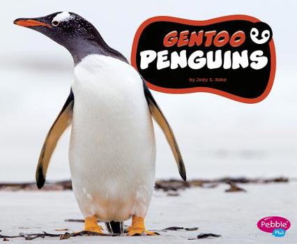 Hardcover Gentoo Penguins Book