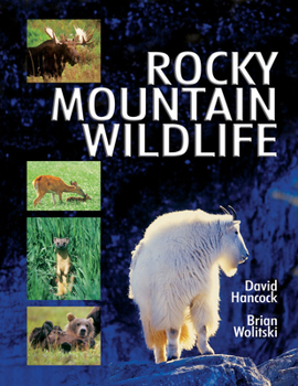 Paperback Rocky Mountain Wildlife Book