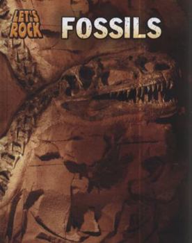 Hardcover Fossils. Louise Spilsbury Book