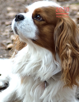 2020 A4 Diary Week To View Planner For All Occasions: | Year Planner For Business, Office, Home, University, College, School, Appointments, Organizer.