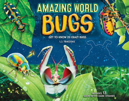Hardcover Amazing World: Bugs: Get to Know 20 Crazy Bugs Book