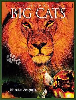 Discover Big Cats (Discover Animals) - Book  of the Discover Animals