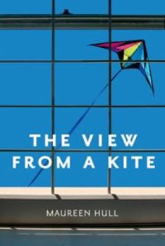 Paperback View from a Kite Book