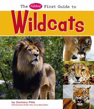 Library Binding The Pebble First Guide to Wildcats Book