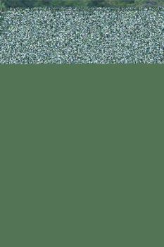 Paperback Ten Worldly Tales Book