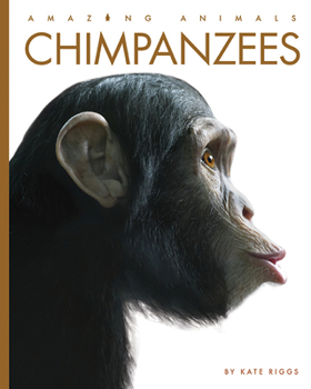 Chimpanzees - Book  of the Amazing Animals