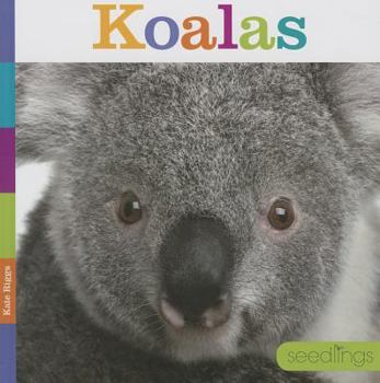 Koalas - Book  of the Seedlings