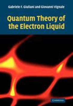 Paperback Quantum Theory of the Electron Liquid Book