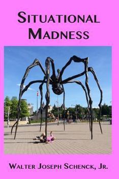 Paperback Situational Madness Book