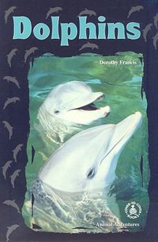 Paperback Dolphins Book