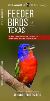 Paperback Feeder Birds of Texas: A Folding Pocket Guide to Common Backyard Birds Book