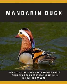 Mandarin Duck: Beautiful Pictures & Interesting Facts Children Book About Mandarin Duck