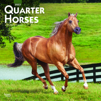 Calendar Quarter Horses 2023 Square Book