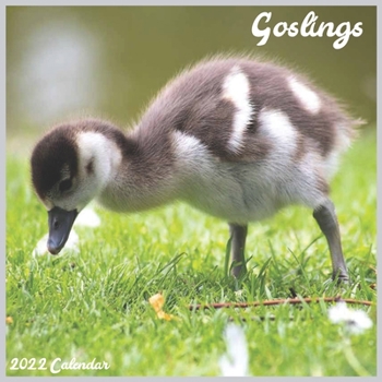 Goslings 2022 Calendar: Official Baby Goose 2022 Calendar, 16 Month