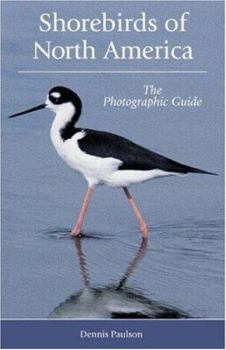 Paperback Shorebirds of North America: The Photographic Guide Book