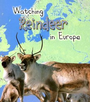 Paperback Watching Reindeer in Europe Book