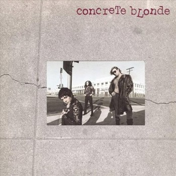 Vinyl Concrete Blonde Book