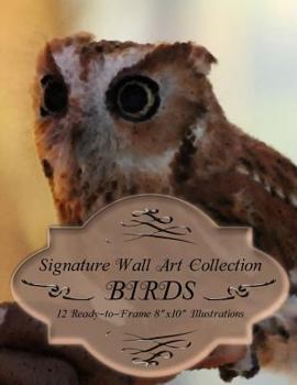 Paperback Signature Wall Art Collection: Birds Book