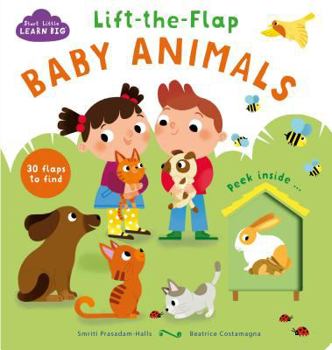 Board book Lift-The-Flap Baby Animals Book