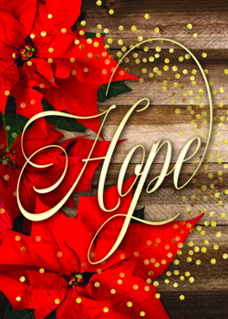 Unknown Binding Christmas - Hope is Born Anew - Boxed Cards Book