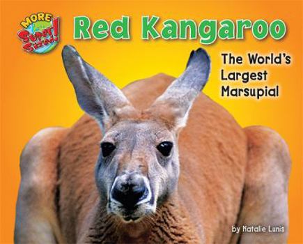 Library Binding Red Kangaroo: The World's Largest Marsupial Book