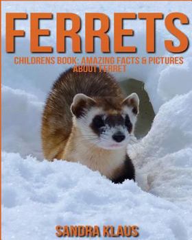 Paperback Childrens Book: Amazing Facts & Pictures about Ferret Book