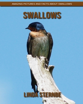 Paperback Swallows: Amazing Pictures and Facts About Swallows Book