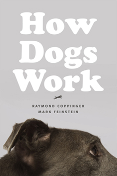 Hardcover How Dogs Work Book