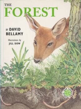 The Forest (David Bellamy's Changing World) - Book  of the Bellamy's Changing World