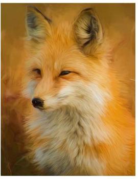 Sketchbook: Cute Fox Sketchbook for Kids Animal Lovers to Sketching, Whiting, Drawing, Journaling and Doodling Large (8.5x11 Inch.) 120 Blank Pages for Children (Orange&White Pattern)