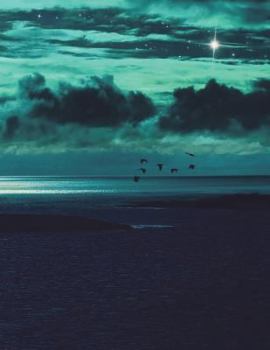 Paperback Notebook Large 8.5 X 11 Ruled 150 Pages Book