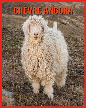 Chèvre Angora: Recueil d’Informations Amusantes pour Enfants & Photos Etonnantes