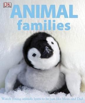 Hardcover Animal Families Book