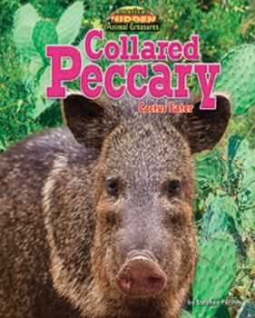 Collared Peccary: Cactus Eater - Book  of the America's Hidden Animal Treasures