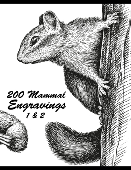 Paperback 200 Mammal Engravings 1 & 2 Book