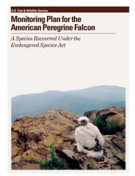 Paperback Monitoring Plan for the American Peregrine Falcon: A Species Recovered Under the Endangered Species Act Book