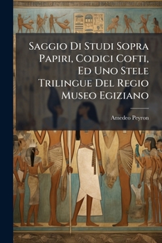 Paperback Saggio Di Studi Sopra Papiri, Codici Cofti, Ed Uno Stele Trilingue Del Regio Museo Egiziano [Italian] Book