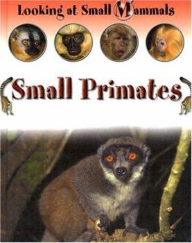 Hardcover Small Primates (Looking at Small Mammals) Book