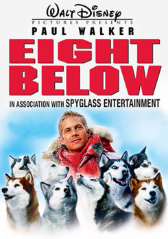DVD Eight Below Book