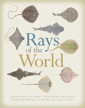 Hardcover Rays of the World Book