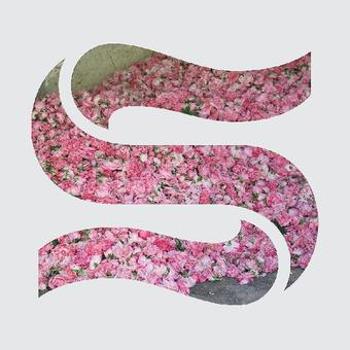 Vinyl Step By Step Ep Book