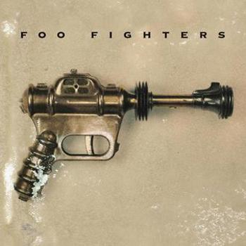 Vinyl Foo Fighters Book