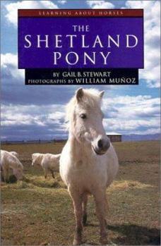 Hardcover The Shetland Pony Book